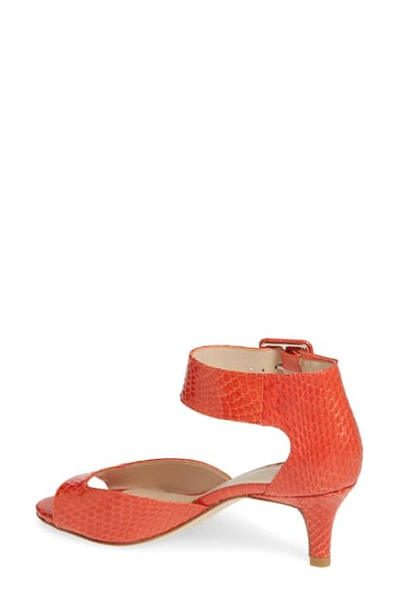 Shop Pelle Moda 'berlin' Sandal In Coral Snake Print