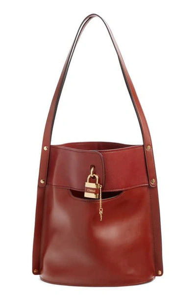 Shop Chloé Aby Leather Bucket Bag In Sepia Brown