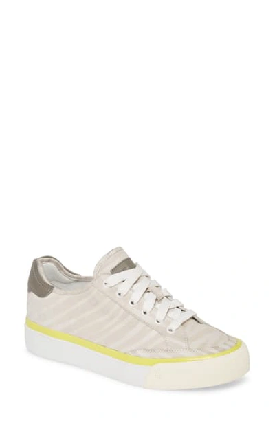 Shop Rag & Bone Army Low Top Sneaker In Light Grey