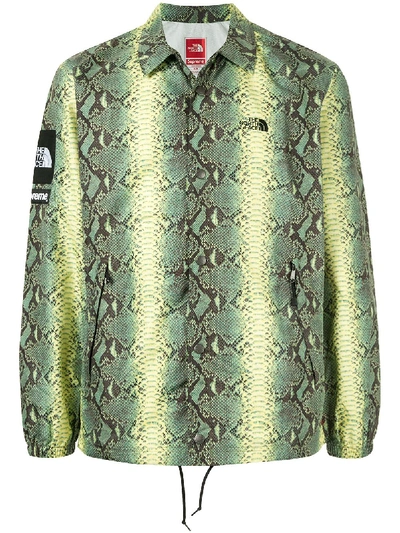Shop Supreme X The North Face Snakeskin-print Taped Seam Jacket In Green