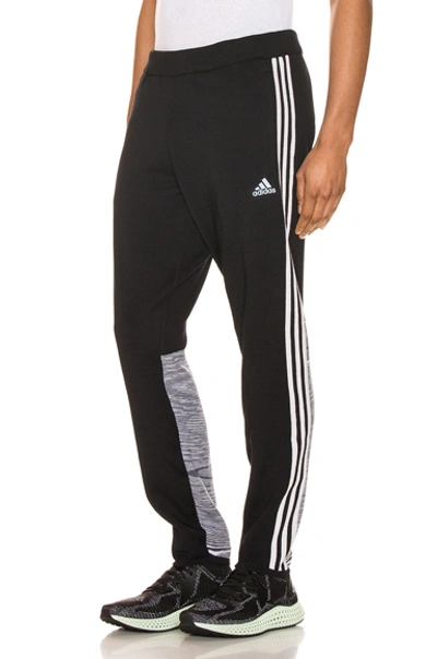 Shop Adidas By Missoni Astro Pant In Black & White & Dark Grey