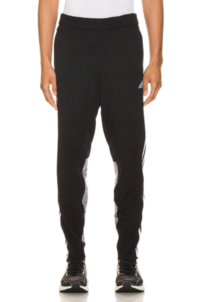 Shop Adidas By Missoni Astro Pant In Black & White & Dark Grey