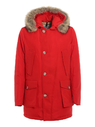 Shop Woolrich Red Padded Arctic Parka Df