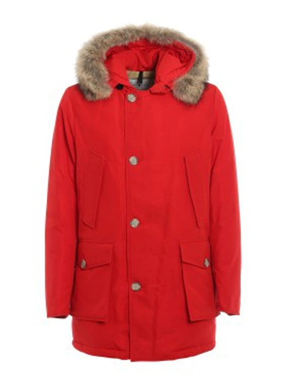 Shop Woolrich Red Padded Arctic Parka Df