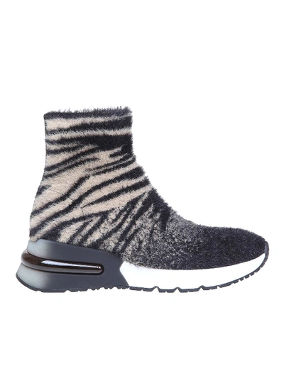 ASH KING TIGER PRINT SOCK SNEAKERS 