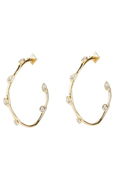 Shop Alexis Bittar Coveter Navette Crystal Hoop Earrings In Gold