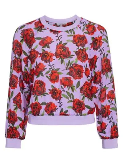 Shop Alice And Olivia Calvin Rose Graphic Sweatshirt In Lilac Rose Scarlet