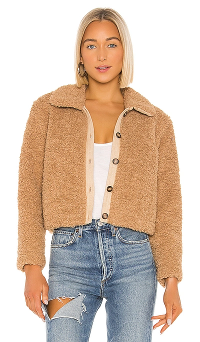 Shop Astr The Label Teddi Jacket In Tan. In Caramel