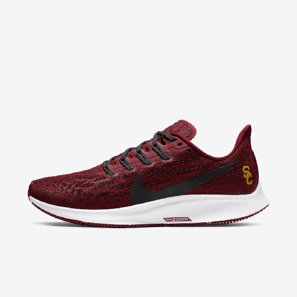 nike pegasus usc
