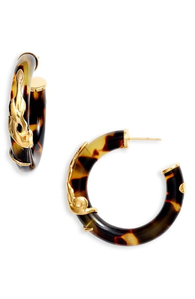 Shop Gas Bijoux Small Cobra Hoop Earrings In Brown