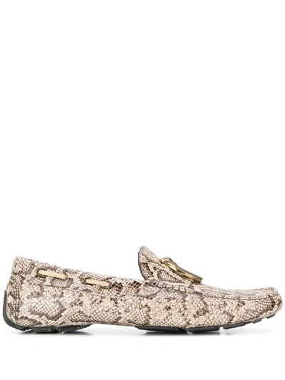 Shop Just Cavalli Snakeskin-pattern Loafers In Brown
