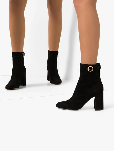 Shop Gianvito Rossi Black 85 Suede Ankle Boots