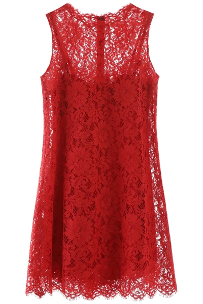 Shop Dolce & Gabbana Lace Mini Dress In Red