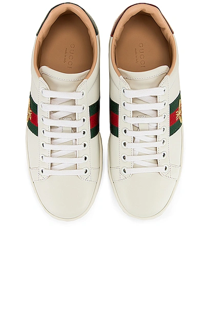 Shop Gucci New Ace Platform Sneakers In White & Green & Red