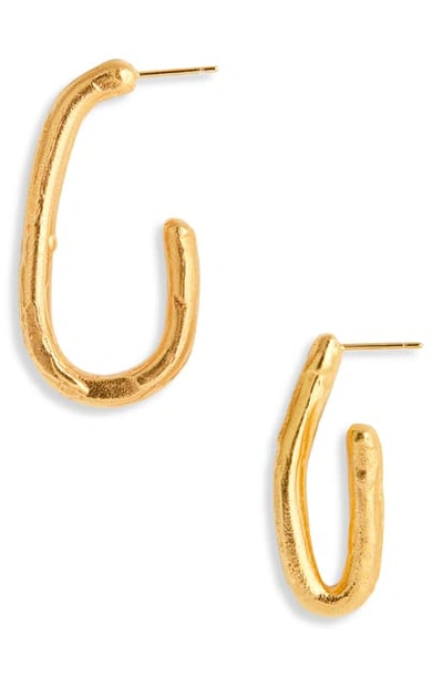 Shop Alighieri The Mind, In Flight Hoop Earrings In Gold