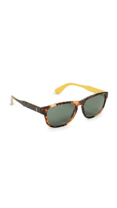 Shop Polo Ralph Lauren 0ph4158-sunglasses In Shiny New Jerry Tortoise