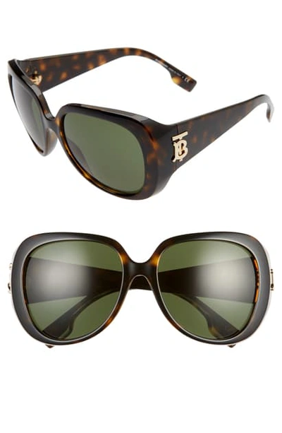 Shop Burberry 57mm Round Sunglasses In Dark Havana/green Solid
