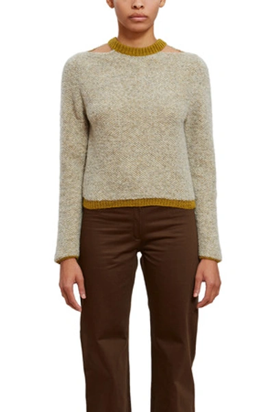 Shop Eckhaus Latta Opening Ceremony Clavicle Sweater In Pebble Lichen