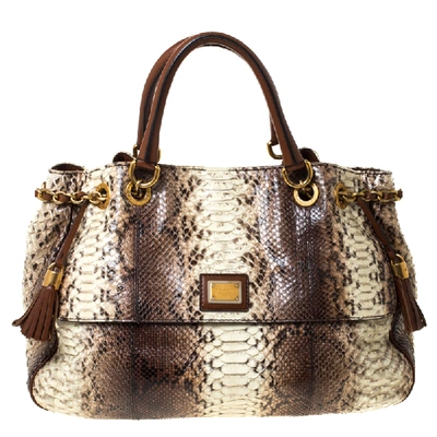 Pre-owned Dolce & Gabbana Brown Python And Leather Hobo