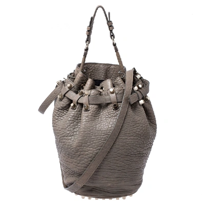 Pre-owned Alexander Wang Taupe Textured Leather Diego Bucket Bag In Grey