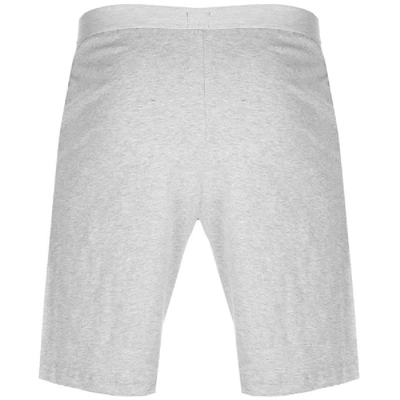 Shop Tommy Hilfiger Lounge Icon Shorts Grey