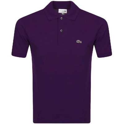 Shop Lacoste Short Sleeved Polo T Shirt Purple