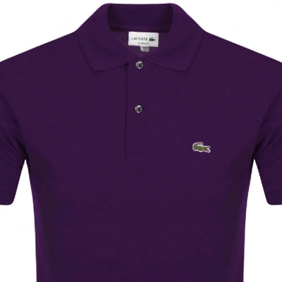 Shop Lacoste Short Sleeved Polo T Shirt Purple