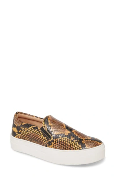 Shop Steve Madden Gills Platform Slip-on Sneaker In Yellow Snake Print
