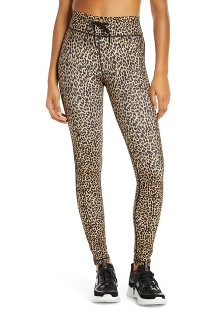 Shop The Upside Leo Yoga Pants In Leopard