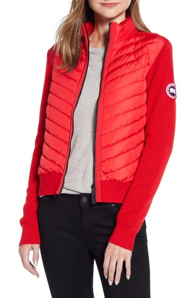 Shop Canada Goose Hybridge Quilted & Knit Jacket In Red