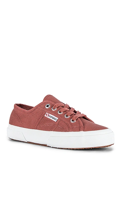 Shop Superga 2750-cotu Sneaker In Brown Pinkish