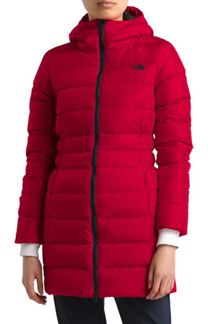 the north face gotham ii hooded down parka