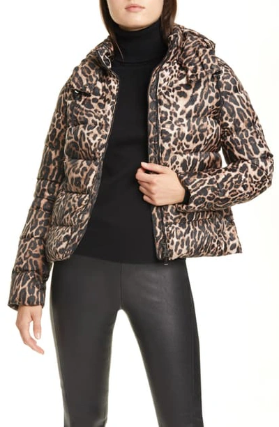 Shop Polo Ralph Lauren Leopard Print Down Jacket