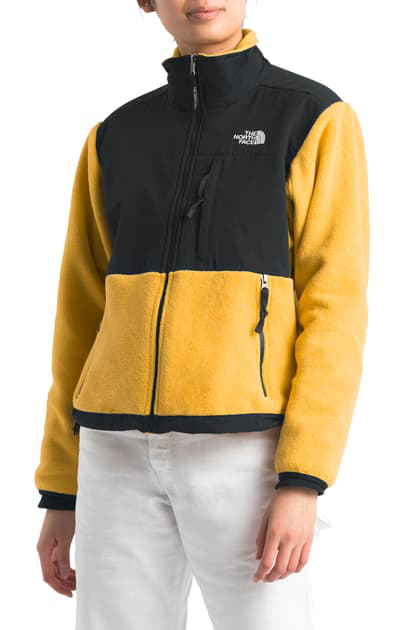 the north face 1995