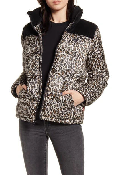 Levi's Mixed Media Leopard Print Puffer Jacket In Black/ Leopard | ModeSens