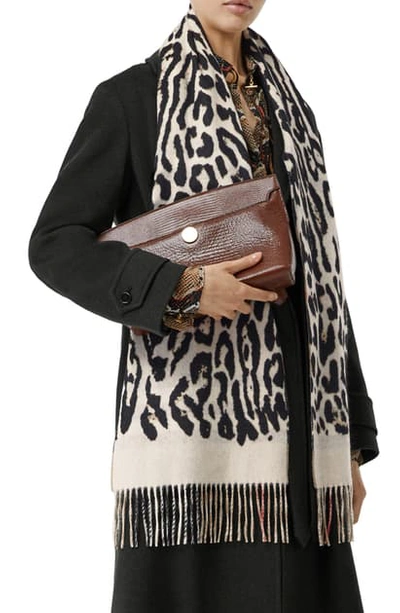Shop Burberry Leopard Print And Check Cashmere Scarf In Black