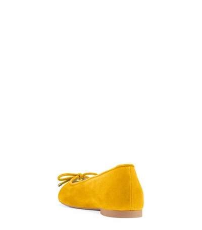 Shop Stuart Weitzman The Gabby Flat In Sunflower Yellow Suede