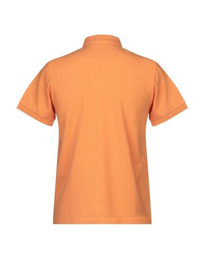 Shop Trussardi Collection Man Polo Shirt Orange Size S Cotton