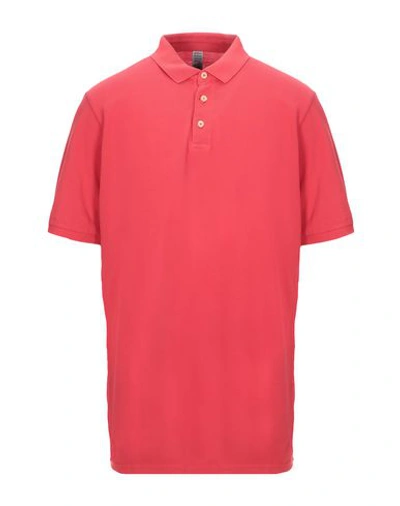 Shop Authentic Original Vintage Style Polo Shirt In Red