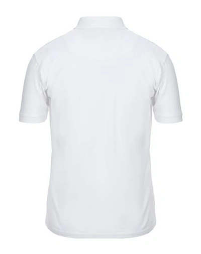 Shop Tru Trussardi Man Polo Shirt White Size Xxl Cotton, Elastane