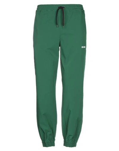 Shop Msgm Casual Pants In Green