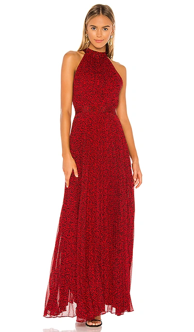 Shop Alice And Olivia Kelissa Halter Pleat Maxi Dress In Mini Leopard Ruby & Black