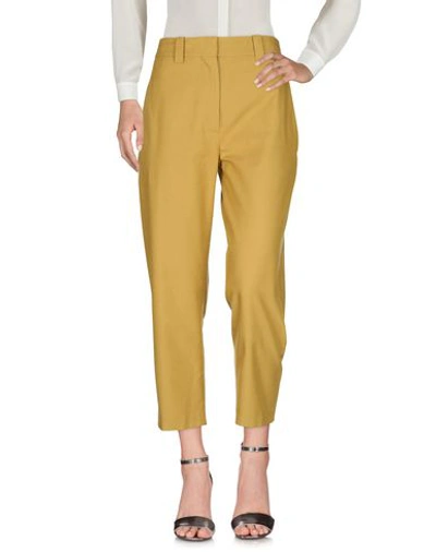 Shop Erika Cavallini Woman Pants Ocher Size 10 Cotton, Virgin Wool In Yellow