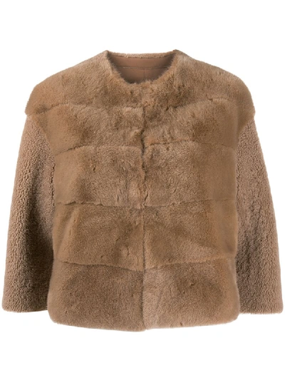 Shop Blancha Shearling Cropped Jacket In Brown