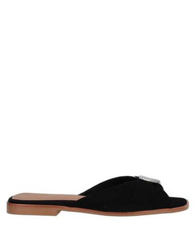 Shop Flattered Sandals In Black