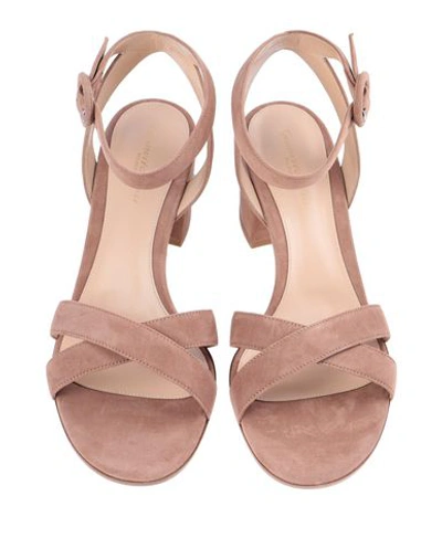 Shop Gianvito Rossi Woman Sandals Pastel Pink Size 5 Leather
