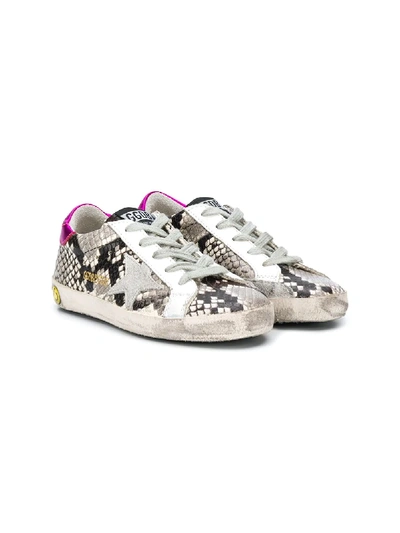 Shop Golden Goose Distressed Snakeskin Sneakers In Grey