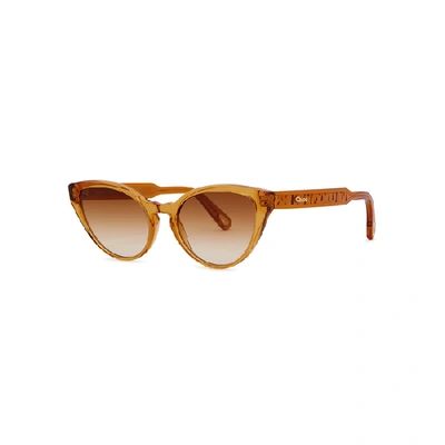 Shop Chloé Willow Brown Cat-eye Sunglasses