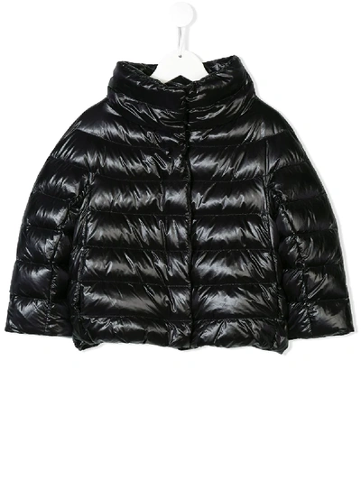 Shop Herno Padded Zip-up Jacket In Black