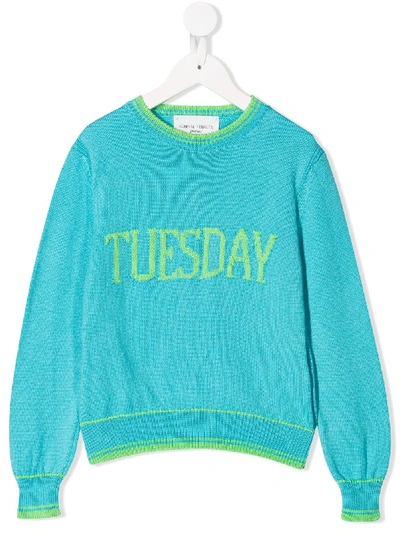 Shop Alberta Ferretti Tuesday Knitted Jumper In Blue